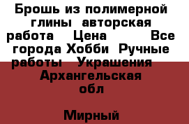 Брошь из полимерной глины, авторская работа. › Цена ­ 900 - Все города Хобби. Ручные работы » Украшения   . Архангельская обл.,Мирный г.